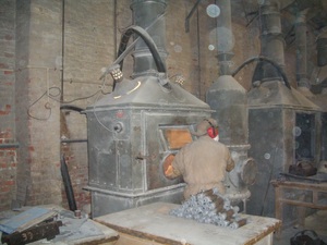 CIMG0311.JPG